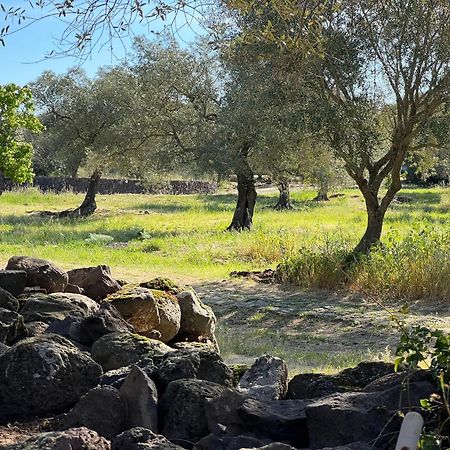 Muristene Pozzo Santa Cristina Paulilatino المظهر الخارجي الصورة