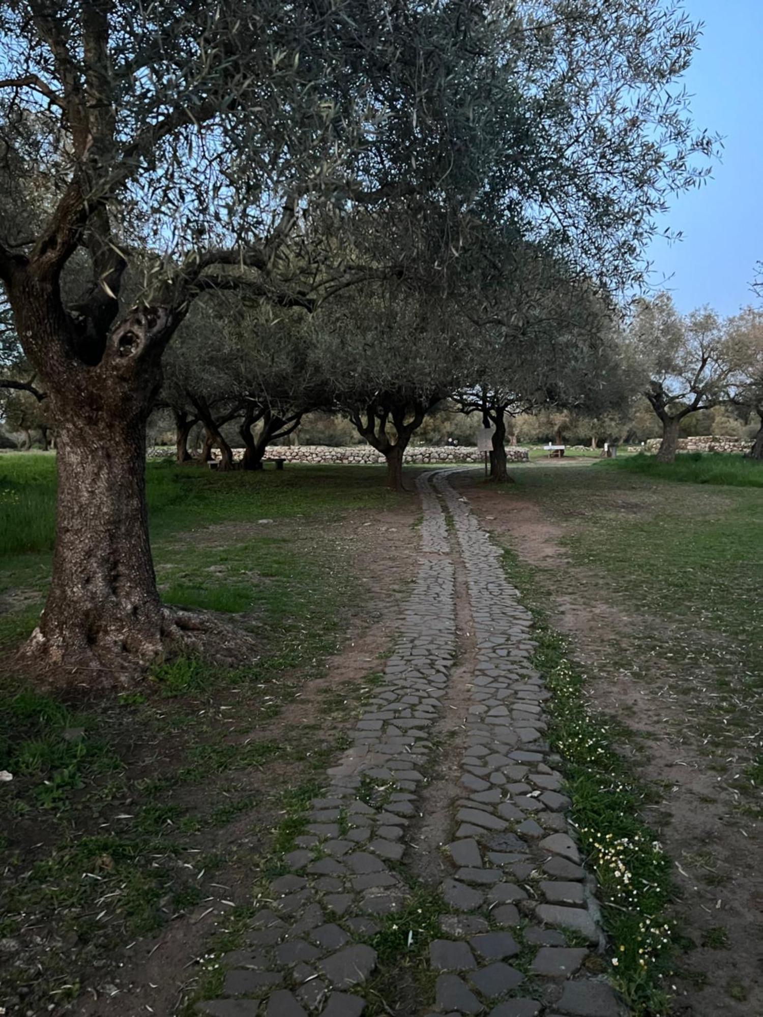 Muristene Pozzo Santa Cristina Paulilatino المظهر الخارجي الصورة