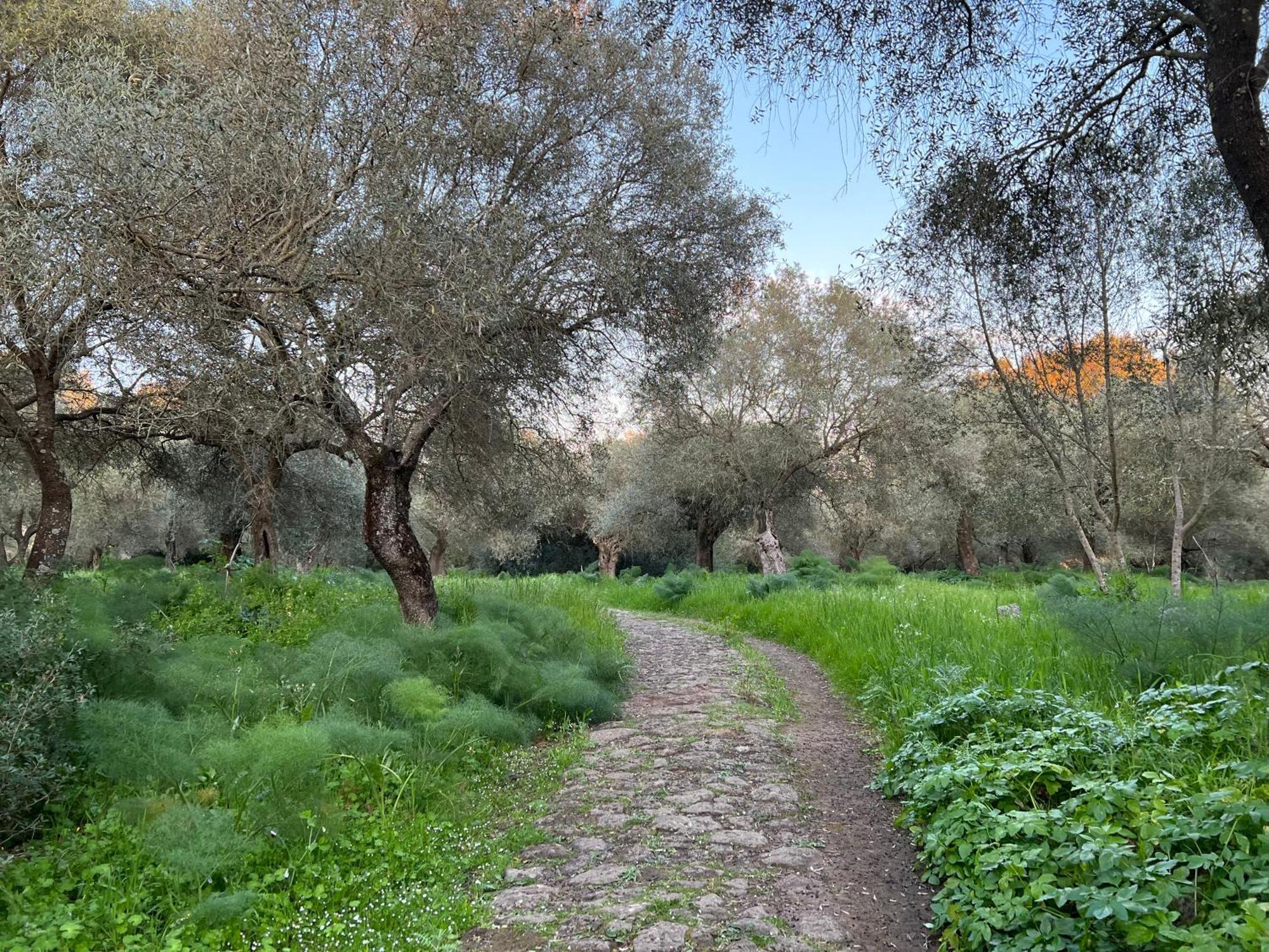 Muristene Pozzo Santa Cristina Paulilatino المظهر الخارجي الصورة