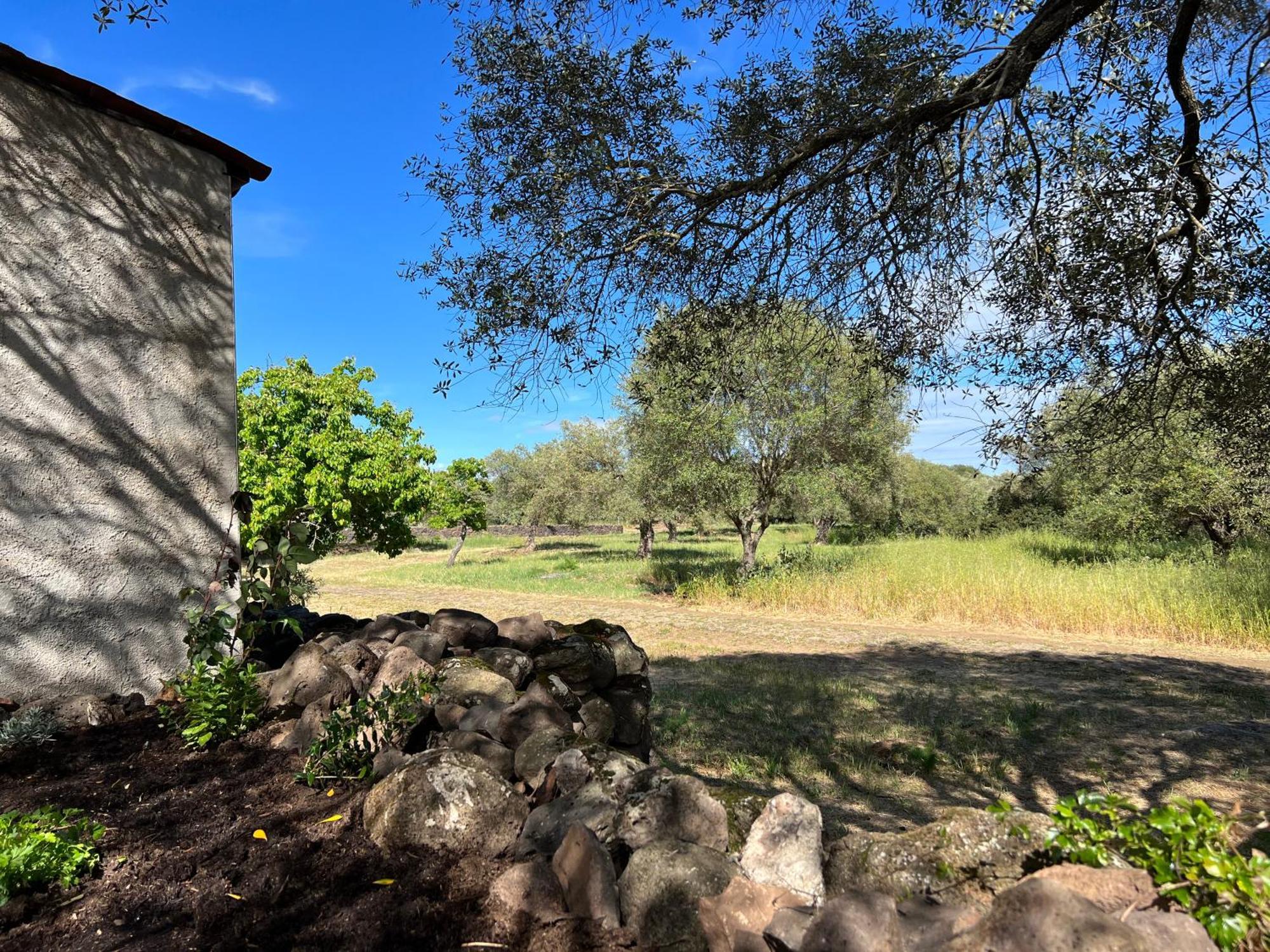 Muristene Pozzo Santa Cristina Paulilatino المظهر الخارجي الصورة